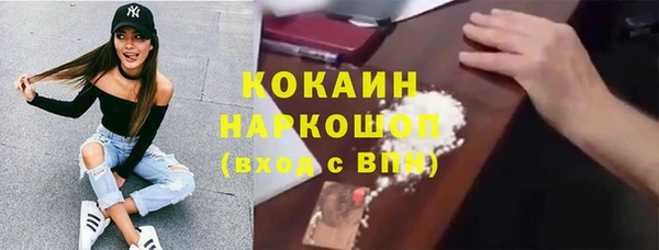 стаф Алексин