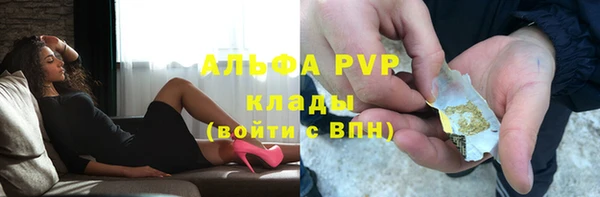 стаф Алексин