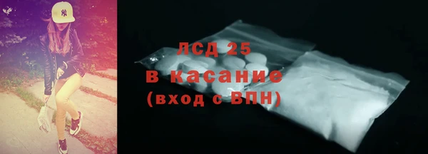 стаф Алексин