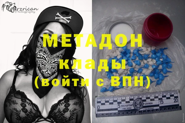 стаф Алексин