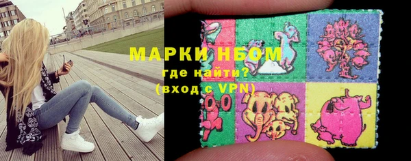 стаф Алексин