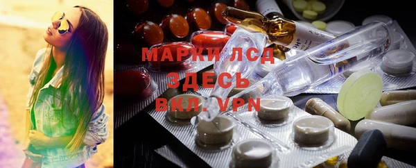 стаф Алексин
