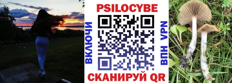 купить   Александровск-Сахалинский  Псилоцибиновые грибы мухоморы 